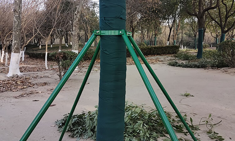 倒伏绿植再无烦恼 碳纤维树木支撑架稳固守护