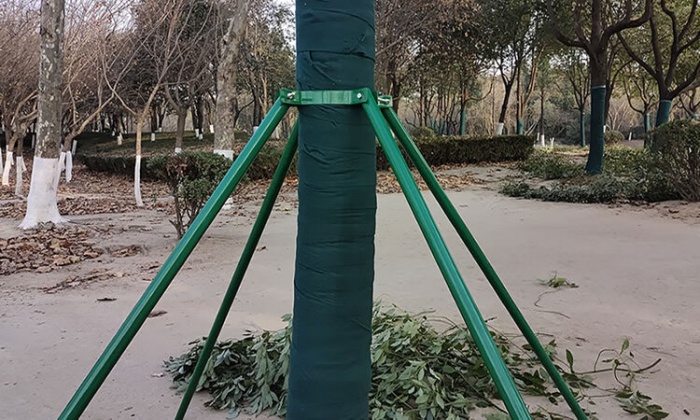 必看！苗木支撑架选材与搭建标准，全方位指南
