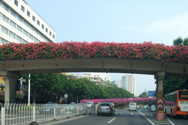 景观花盆