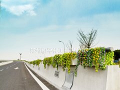 为什么选择玻璃钢花盆作为户外花盆